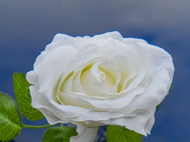 Le mariage de Frédéric et Aurélie à Plougastel-Daoulas, Finistère 6