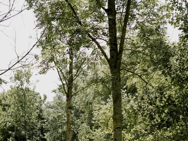 Le mariage de Nicolas et Charlotte à Aubin-Saint-Vaast, Pas-de-Calais 72