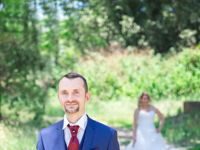 Le mariage de Christophe et Lysiane à Mirefleurs, Puy-de-Dôme 8