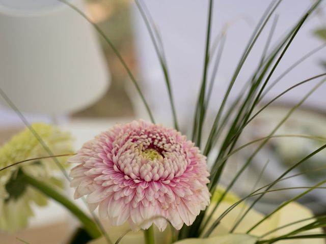 Le mariage de Michael et Laurie à Montbeton, Tarn-et-Garonne 4