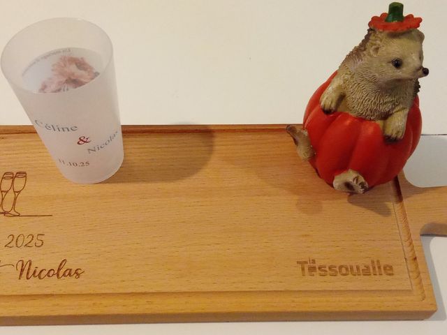 Le mariage de Nicolas et Céline  à La Tessoualle, Maine et Loire 6