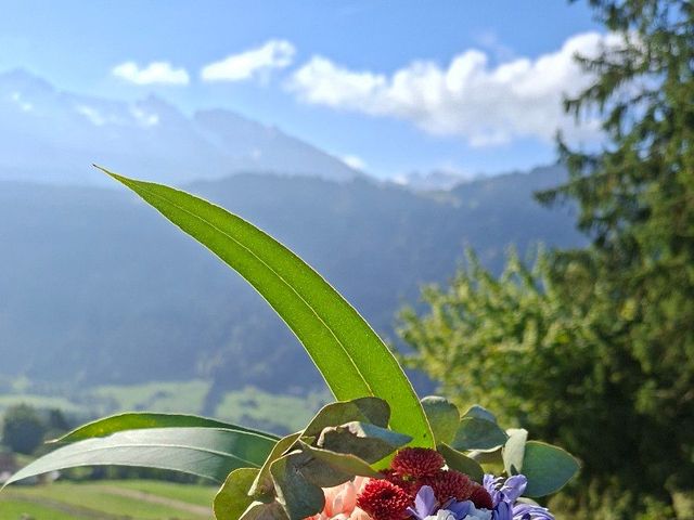 Le mariage de Pierre et Manon à Montagnole, Savoie 6