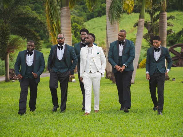 Le mariage de Mickaël et Coralie à Le Robert, Martinique 19