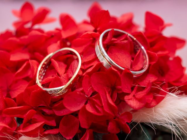 Le mariage de Pascal et Sandrine à Lapalisse, Allier 2