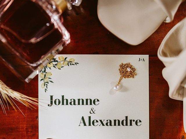Le mariage de Alexandre et Johanne à Montrieux-en-Sologne, Loir-et-Cher 6