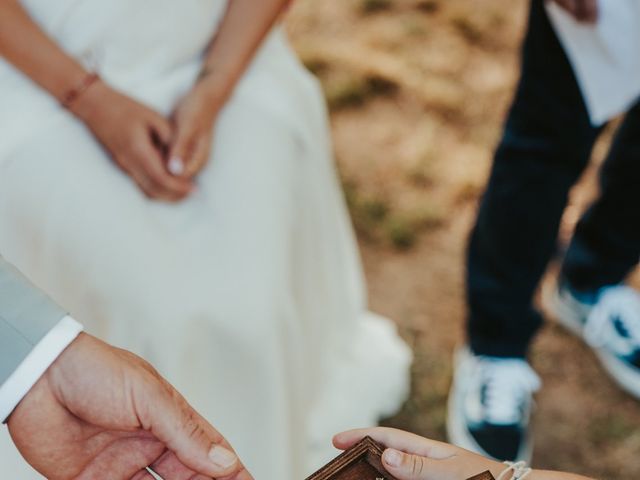 Le mariage de Lucile et Sébastien à Gémenos, Bouches-du-Rhône 11