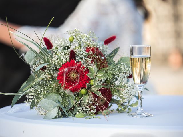 Le mariage de Edouard et Camille à Pernay, Indre-et-Loire 87