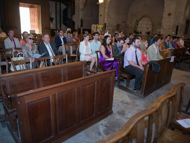 Le mariage de Agnès et Bertrand  à Entraigues-sur-la-Sorgue, Vaucluse 13