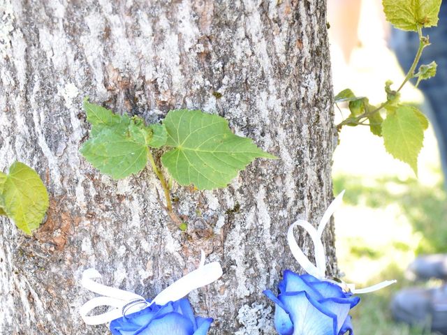 Le mariage de Mickaël et Adeline à Lagarde-Enval, Corrèze 21