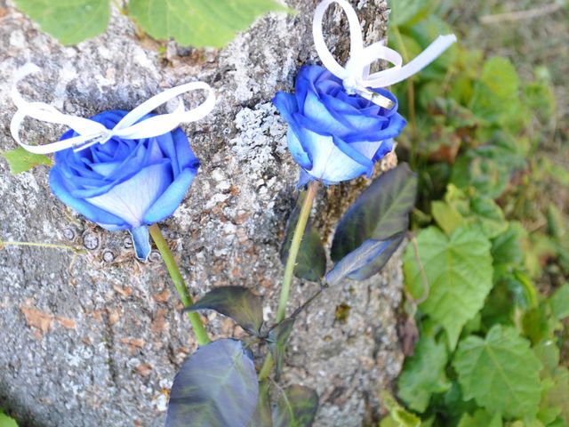 Le mariage de Mickaël et Adeline à Lagarde-Enval, Corrèze 22