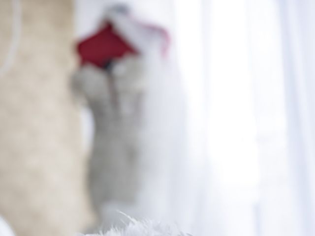 Le mariage de Stéphie et Aymeric à Ris-Orangis, Essonne 7
