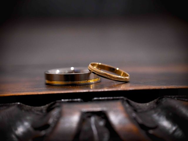 Le mariage de Luc et Sandrine à Janzé, Ille et Vilaine 22
