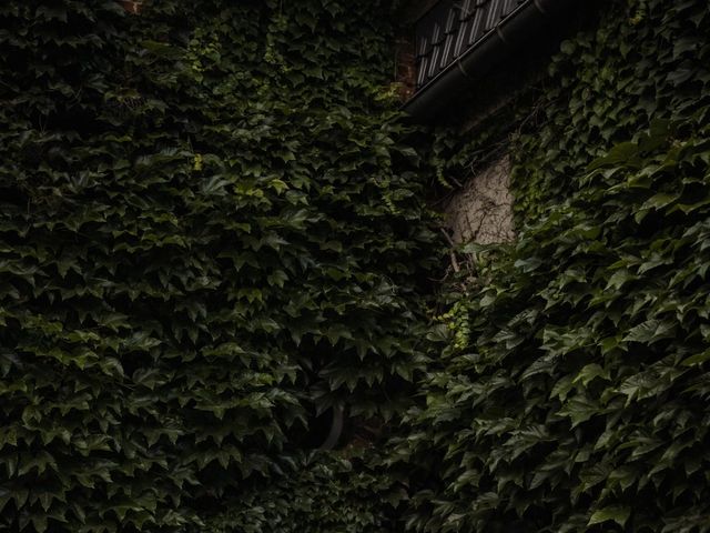 Le mariage de Nicolas et Aude à Le Quesnoy, Nord 4