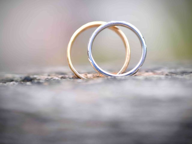 Le mariage de Nicolas et Maela à Janzé, Ille et Vilaine 43