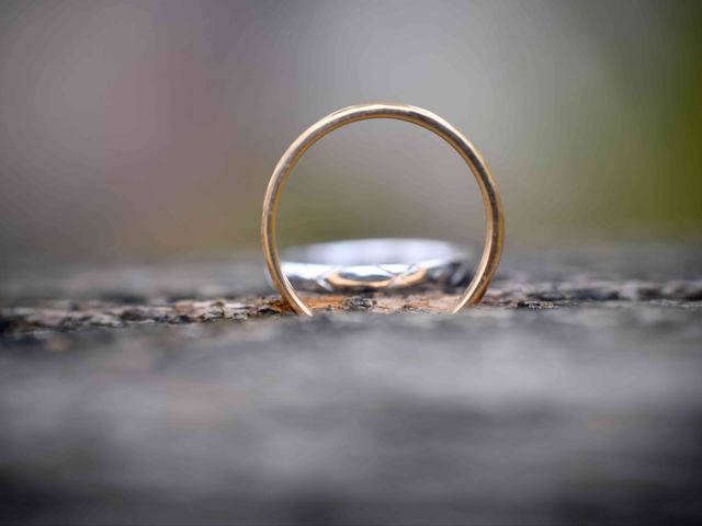 Le mariage de Nicolas et Maela à Janzé, Ille et Vilaine 44