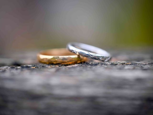 Le mariage de Nicolas et Maela à Janzé, Ille et Vilaine 45