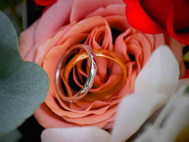 Le mariage de Nicolas et Maela à Janzé, Ille et Vilaine 48