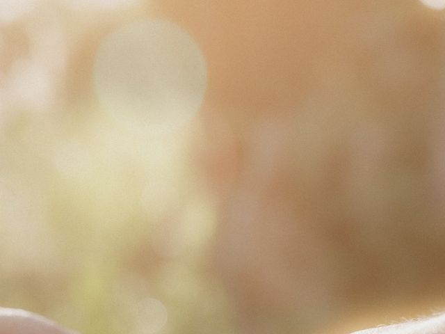 Le mariage de Gaby et Jeanne à Renage, Isère 12