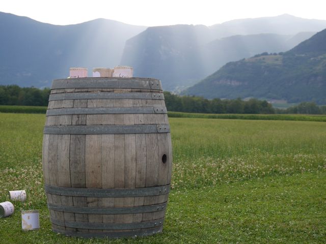 Le mariage de Kévin et Marine à Marlens, Haute-Savoie 71