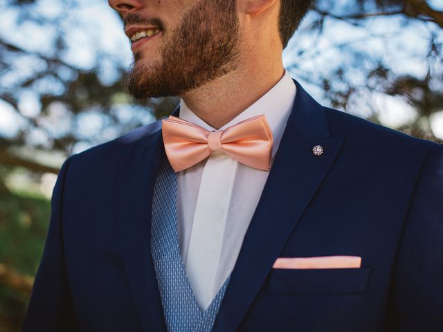 Le mariage de Thibaut et Alisson à Albens, Savoie 11
