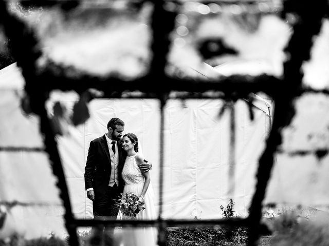 Le mariage de Raphael et Laure à Saint-Valérien, Yonne 13