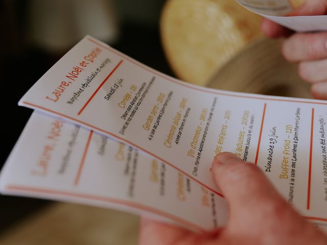 Le mariage de Noël et Sophie à Saint-Martin-le-Beau, Indre-et-Loire 15