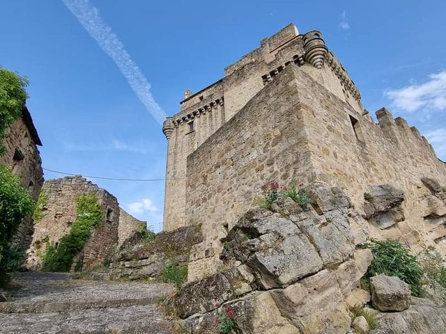 Le mariage de Renaud et Estelle à Dio-et-Valquières , Hérault 12