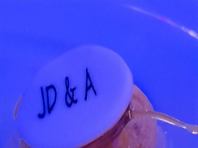 Le mariage de Jean-Denis et Audrey à Barjac, Gard 9