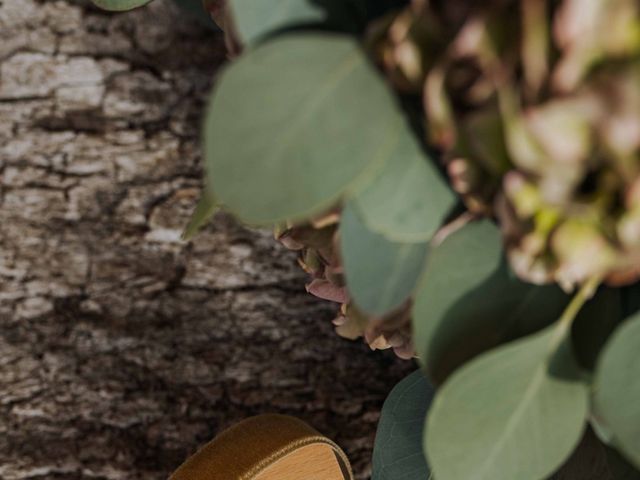 Le mariage de Thibault et Caroline à Steenvoorde, Nord 6