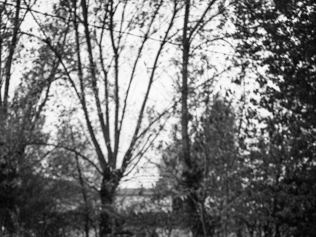 Le mariage de Thibault et Caroline à Steenvoorde, Nord 17