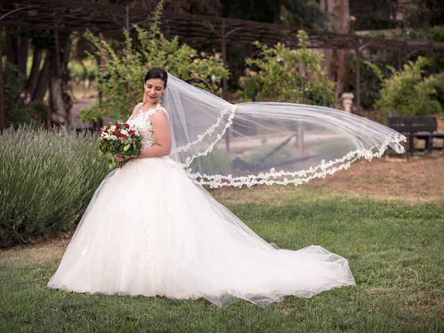 Le mariage de Rémy et Laurie à Solliès-Pont, Var 117