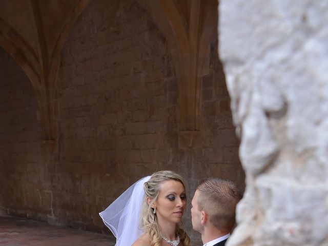 Le mariage de Renaud et Justine à Saint-Maximin-la-Sainte-Baume, Var 41