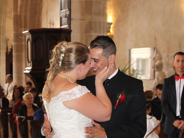 Le mariage de Anne-Laure et François à Châlette-sur-Loing, Loiret 38