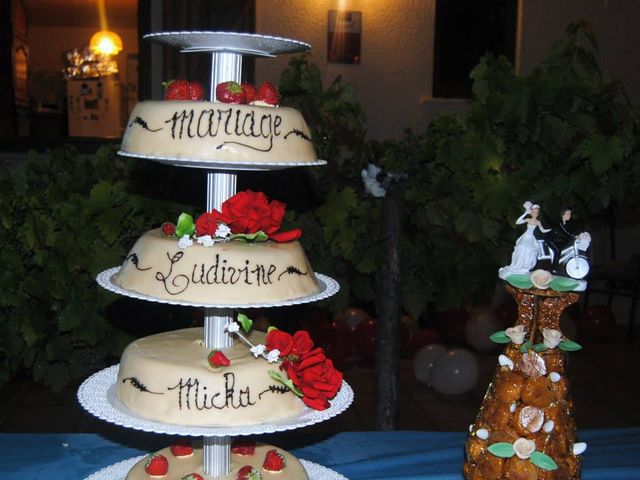 Le mariage de Ludivine et Mickaël à Champagne-sur-Oise, Val-d'Oise 18