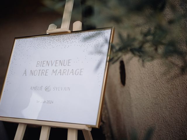 Le mariage de Sylvain et Amélie à Denicé, Rhône 16