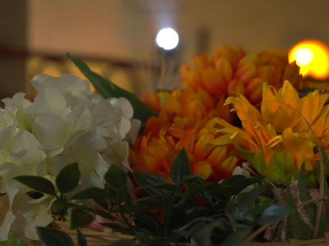 Le mariage de Guillaume et Florence à Plombières-lès-Dijon, Côte d'Or 20