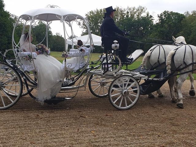 Le mariage de Miljan et Miljana à Nandy, Seine-et-Marne 2