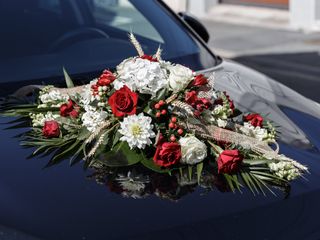Le mariage de Maximilien et Steffi 1