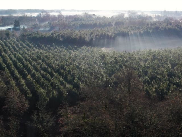 Le mariage de Kévin et Aurélie à Mont-de-Marsan, Landes 1