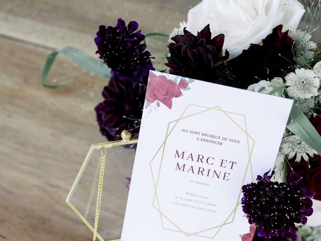 Le mariage de Marc et Marine à Légny, Rhône 27