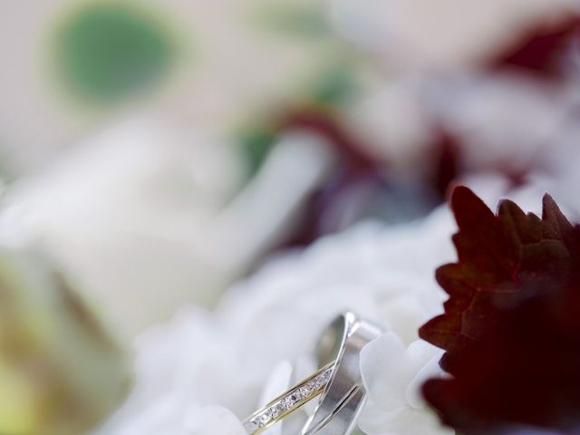 Le mariage de Marc et Marine à Légny, Rhône 48