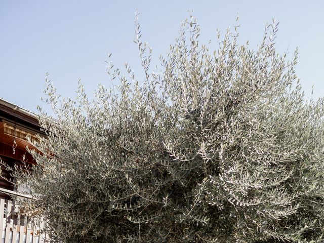 Le mariage de Antoine et Cloé à Ruffieux, Savoie 27