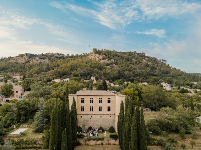 Le mariage de Guillaume et Véronique à Vins-sur-Caramy, Var 33