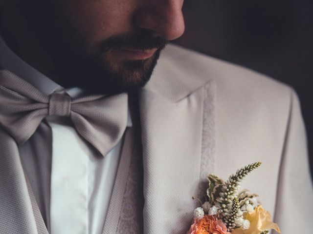 Le mariage de Benjamin et Laura à Souppes-sur-Loing, Seine-et-Marne 5