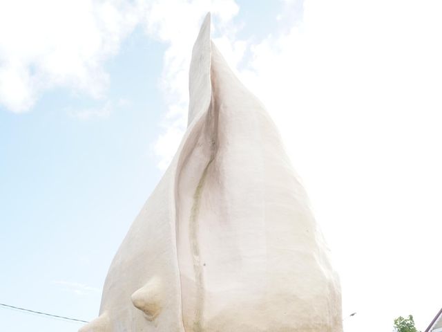 Le mariage de Christophe et Alexandra à Le Gosier, Guadeloupe 1