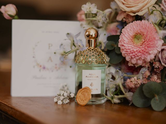 Le mariage de Adrien et Pauline à Châbons, Isère 16