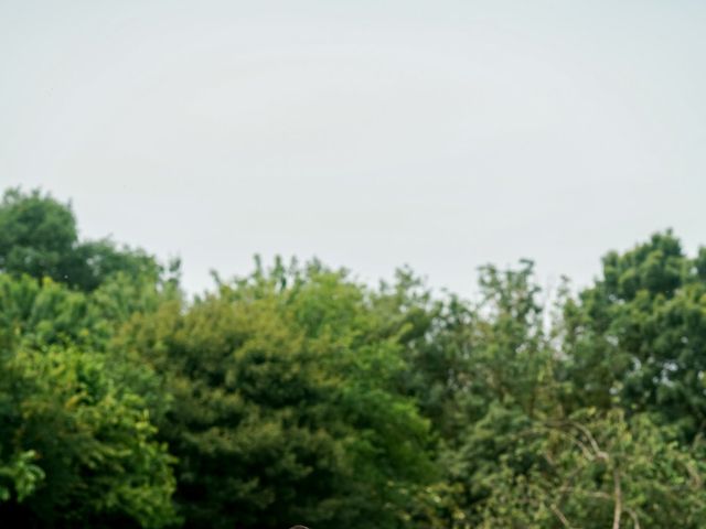 Le mariage de Alexandre et Coline à Segré, Maine et Loire 7