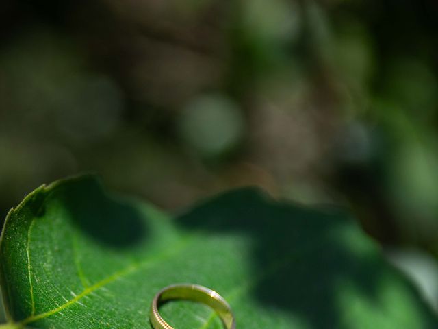 Le mariage de Cédric et Manon à Serrières-en-Chautagne, Savoie 6
