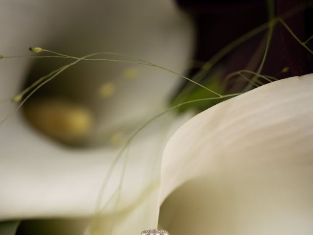 Le mariage de Yannick et Caroline à Toulouse, Haute-Garonne 3