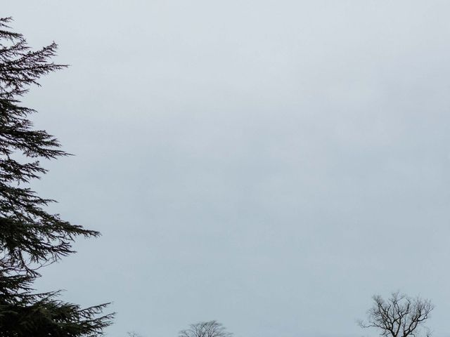 Le mariage de Nicolas et Agnès à Maxent, Ille et Vilaine 32